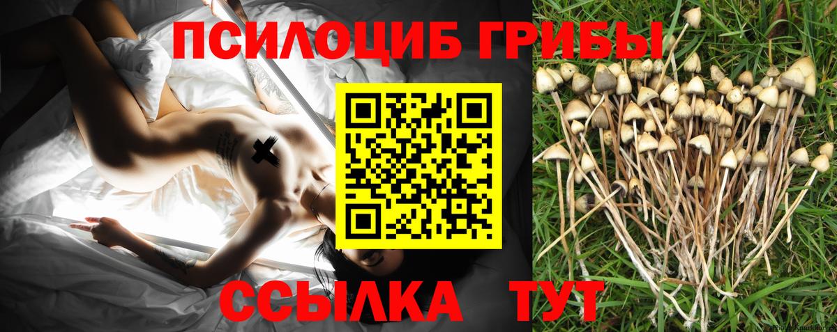 Кумертау  Псилоцибиновые грибы GOLDEN TEACHER  Вход с VPN 