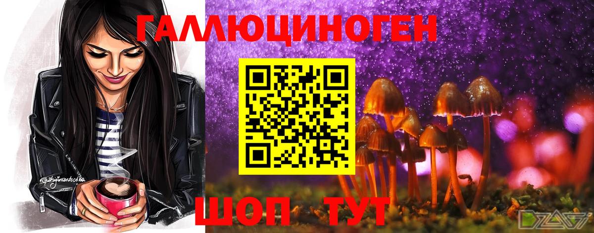 Псилоцибиновые грибы мицелий Кумертау