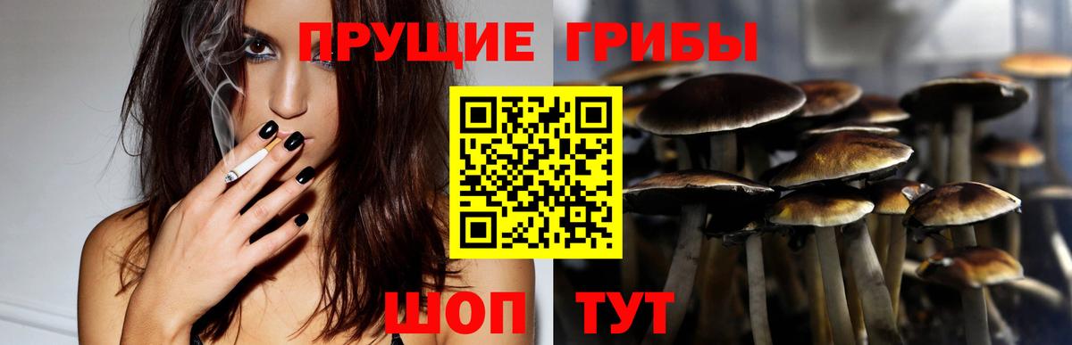 Псилоцибиновые грибы Psilocybe Кумертау